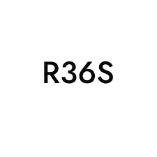 R36S